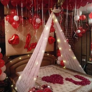 1st Night Room Decor with Net
