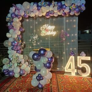 balloon decor with net